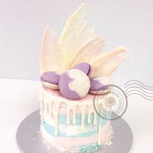 cake with macaron-01