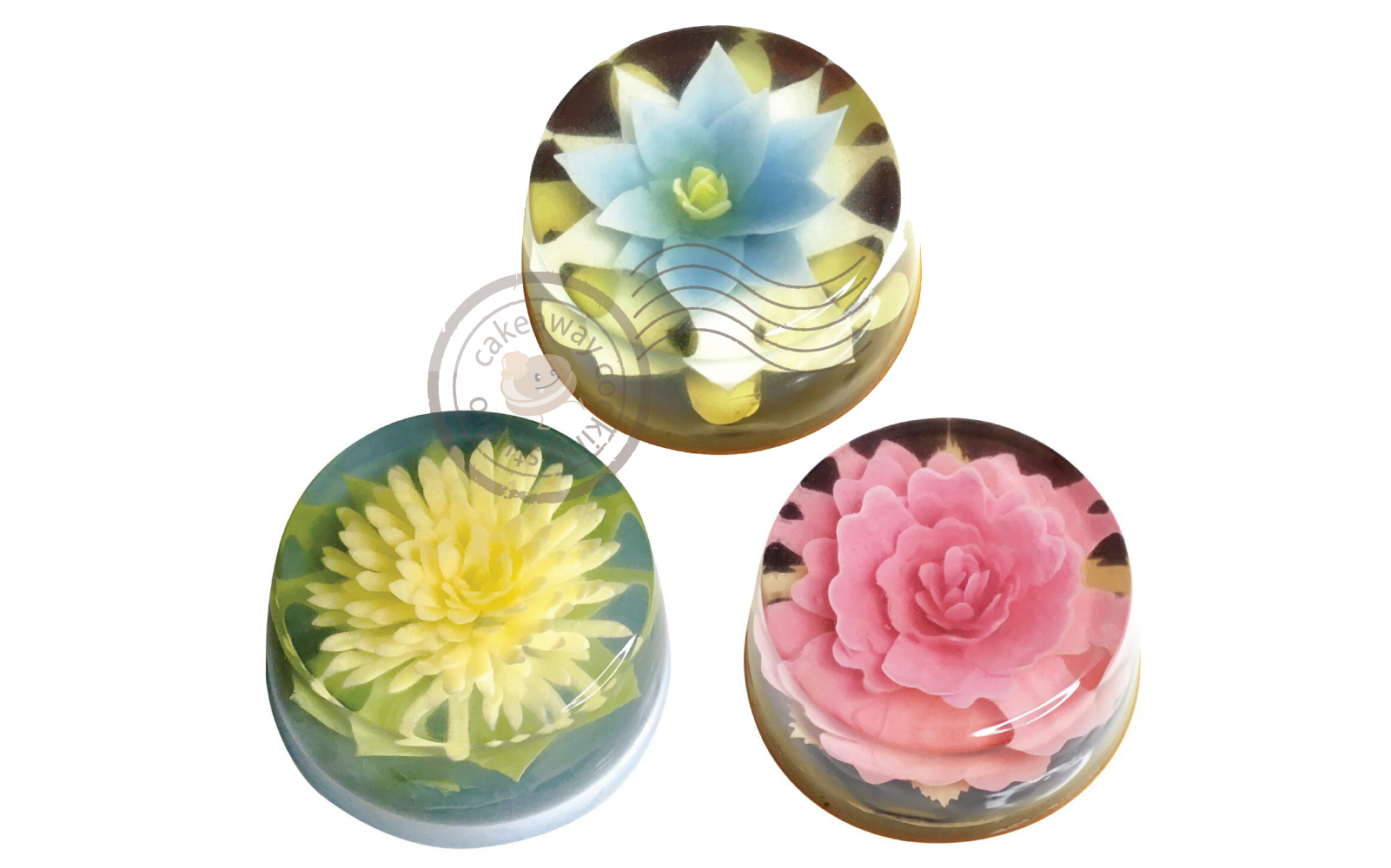 jelly flower 1st combo-01